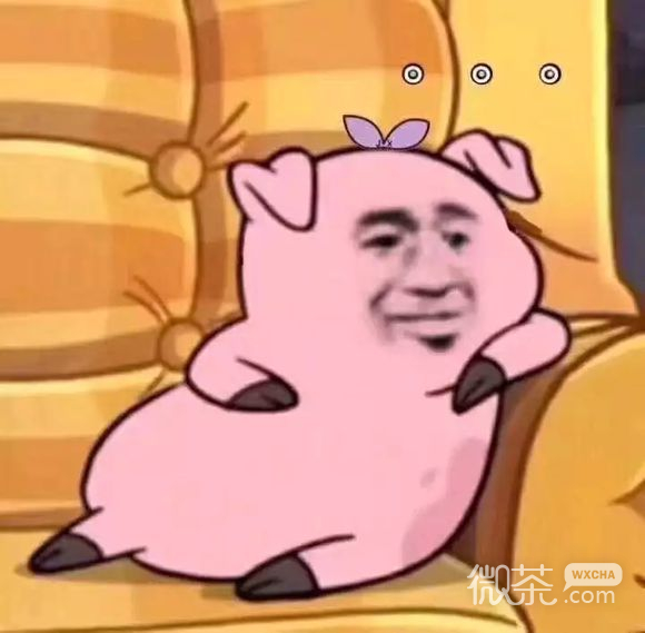 妈的智障微信恶搞群聊杂图表情包