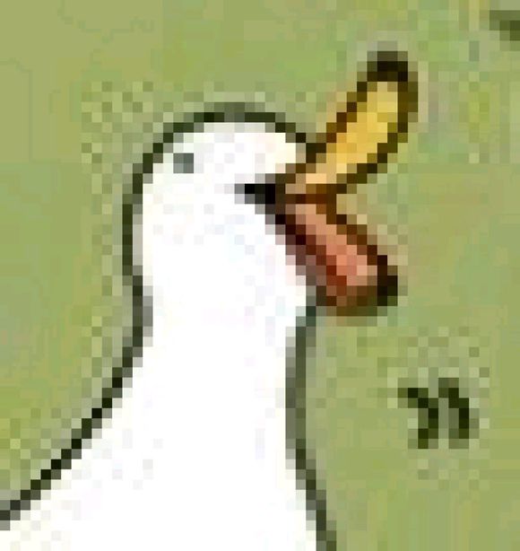 微信近期斗图恶搞表情包2019/6/16