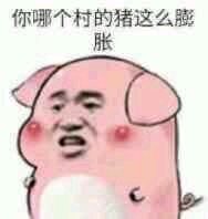 微信近期斗图恶搞表情包2019/6/16