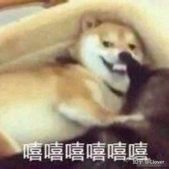 微信近期斗图恶搞表情包2019/6/16