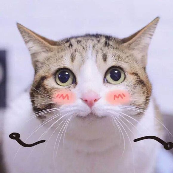 哄我微信恶搞群聊杂图表情包