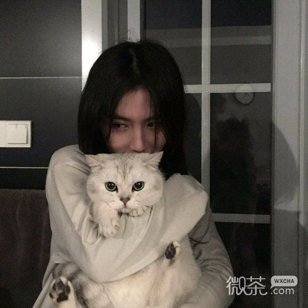 微信好看的时尚清新女头