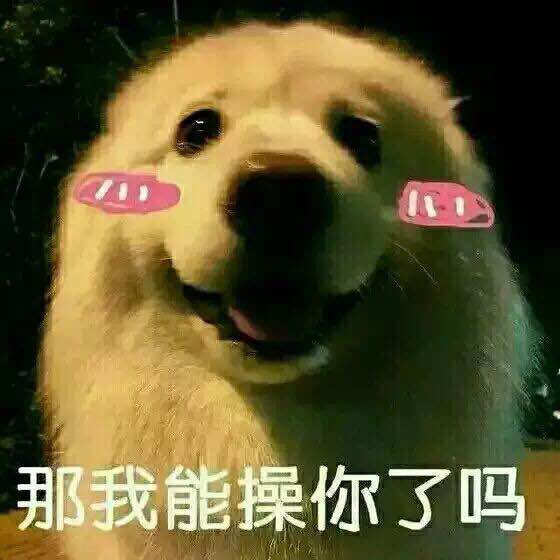 踢远微信恶搞群聊杂图表情包