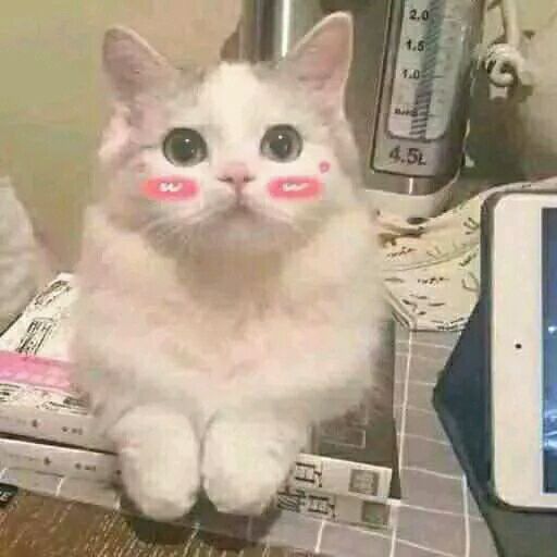 踢远微信恶搞群聊杂图表情包