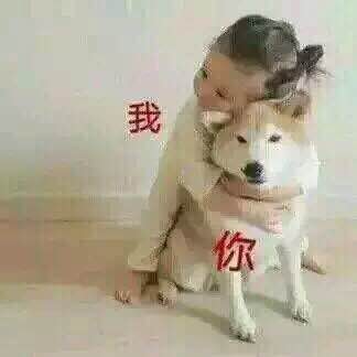 哄我微信恶搞群聊杂图表情包