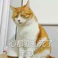 卧槽微信恶搞群聊杂图表情包