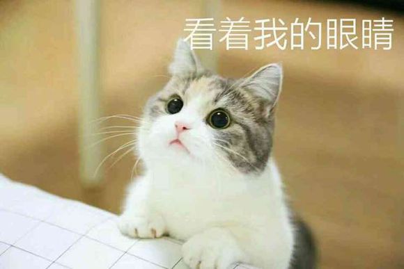 踢远微信恶搞群聊杂图表情包