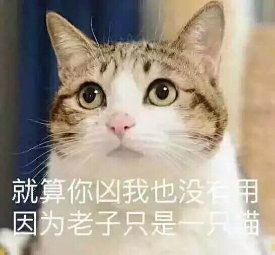 踢远微信恶搞群聊杂图表情包