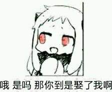 蠢师微信恶搞群聊杂图表情包