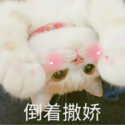 微信爆笑恶搞喵星人带字卖萌头像下载