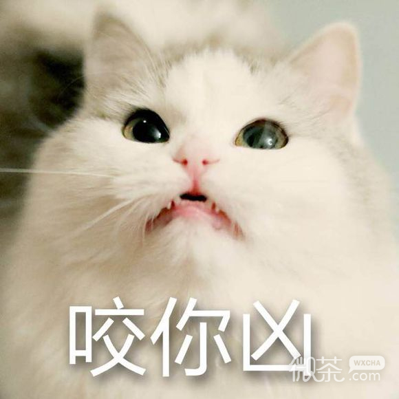好气啊微信恶搞群聊杂图表情包