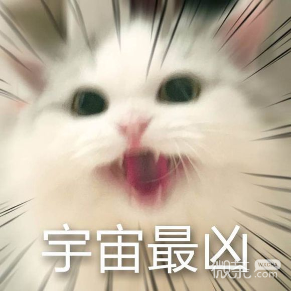 好气啊微信恶搞群聊杂图表情包