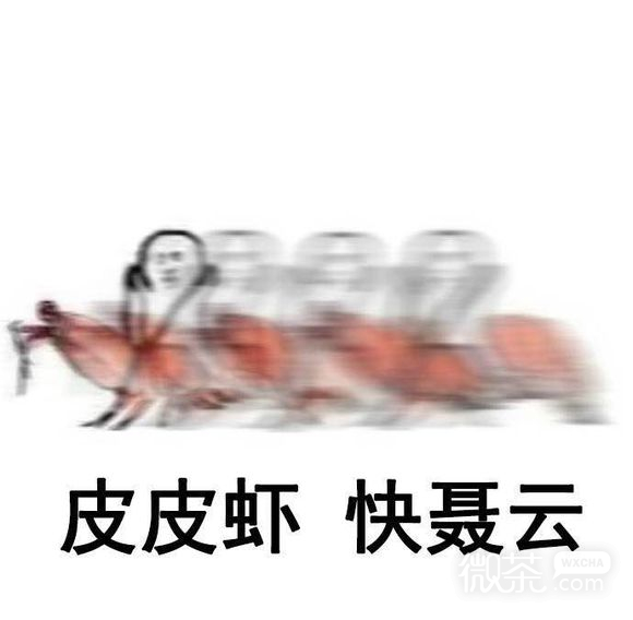 蠢师微信恶搞群聊杂图表情包