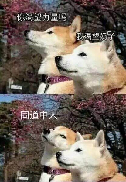 哄我微信恶搞群聊杂图表情包