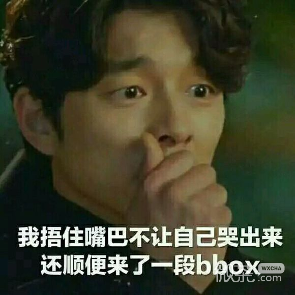 蠢师微信恶搞群聊杂图表情包