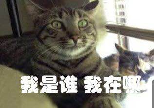 哄我微信恶搞群聊杂图表情包