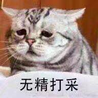 踢远微信恶搞群聊杂图表情包