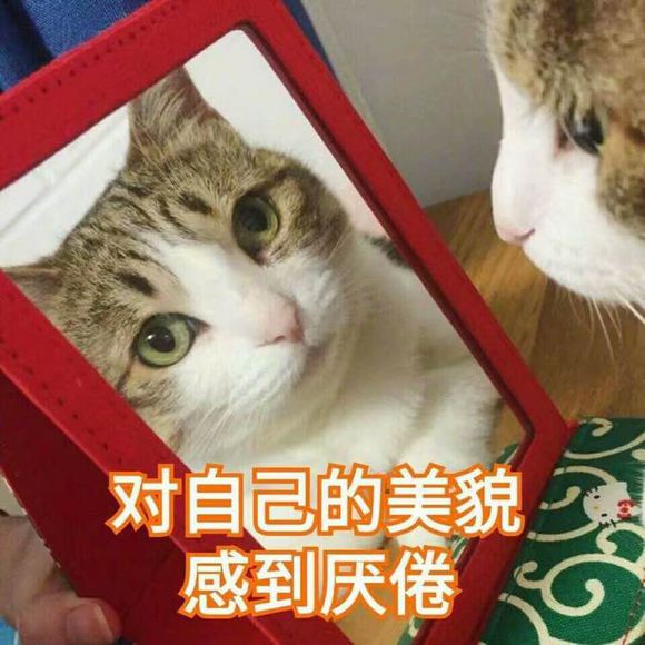 踢远微信恶搞群聊杂图表情包