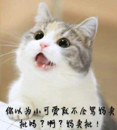 踢远微信恶搞群聊杂图表情包