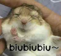 哄我微信恶搞群聊杂图表情包