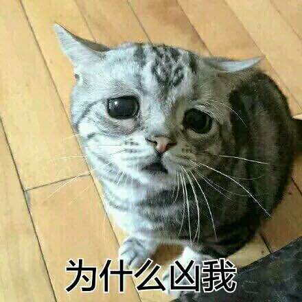 蠢师微信恶搞群聊杂图表情包