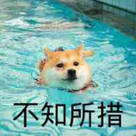 卧槽微信恶搞群聊杂图表情包