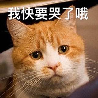 蠢师微信恶搞群聊杂图表情包
