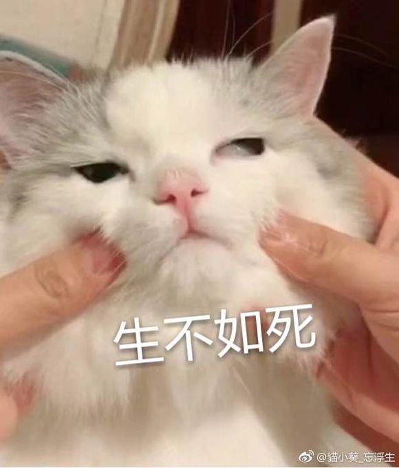 踢远微信恶搞群聊杂图表情包