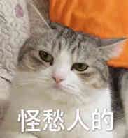 哄我微信恶搞群聊杂图表情包