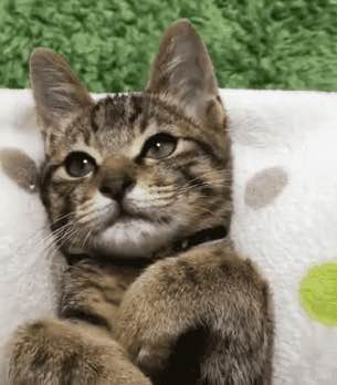 踢远微信恶搞群聊杂图表情包