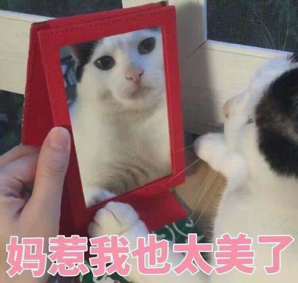 踢远微信恶搞群聊杂图表情包