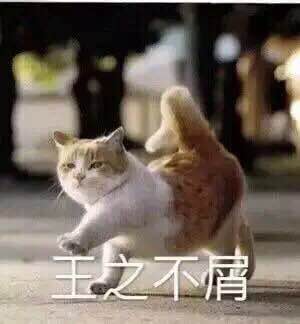 踢远微信恶搞群聊杂图表情包