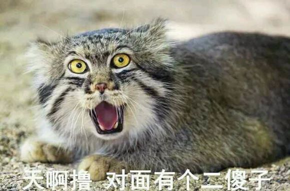 踢远微信恶搞群聊杂图表情包