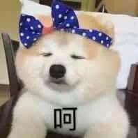 哄我微信恶搞群聊杂图表情包