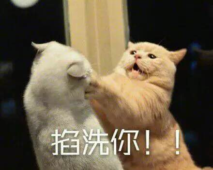 卧槽微信恶搞群聊杂图表情包