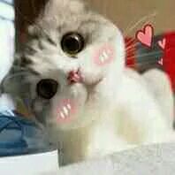 踢远微信恶搞群聊杂图表情包