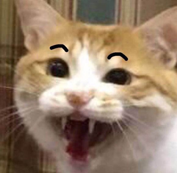 踢远微信恶搞群聊杂图表情包