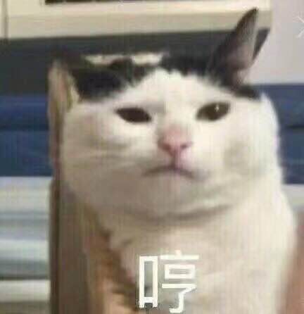 哄我微信恶搞群聊杂图表情包