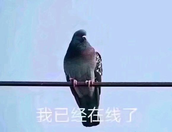 微信近期斗图恶搞表情包2019/6/18（二）
