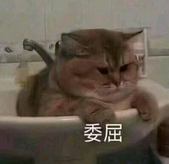 安排微信恶搞群聊杂图表情包