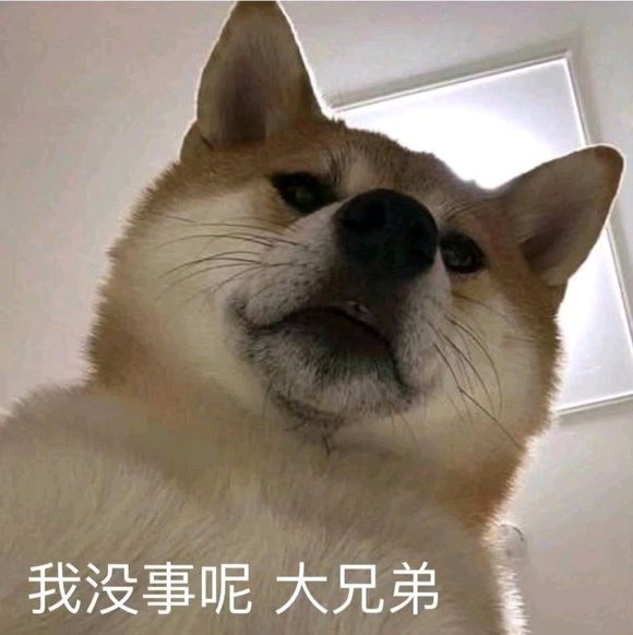 羞涩微信恶搞群聊杂图表情包