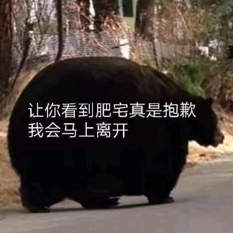 羞涩微信恶搞群聊杂图表情包