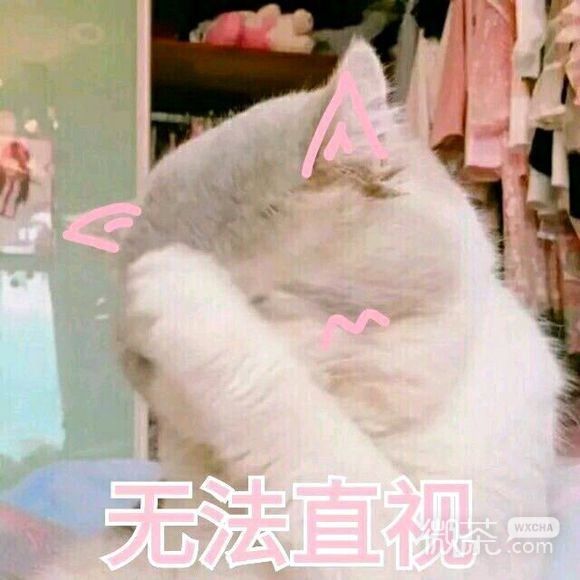 饿了微信恶搞群聊杂图表情包