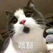 安排微信恶搞群聊杂图表情包