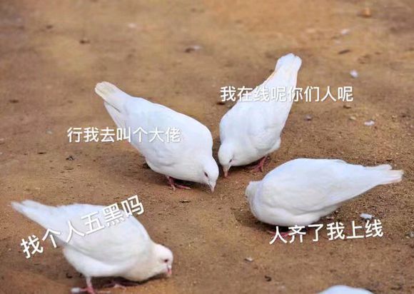 羞涩微信恶搞群聊杂图表情包