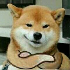 安排微信恶搞群聊杂图表情包