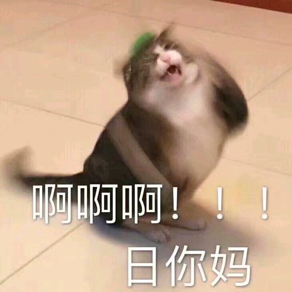 安排微信恶搞群聊杂图表情包