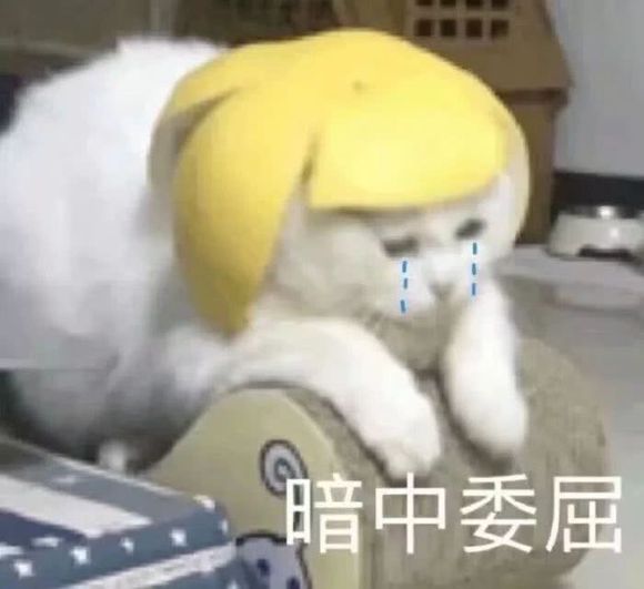 羞涩微信恶搞群聊杂图表情包