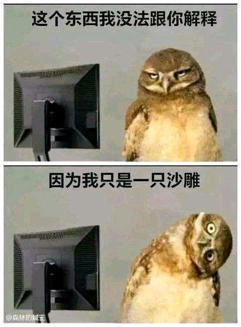 羞涩微信恶搞群聊杂图表情包