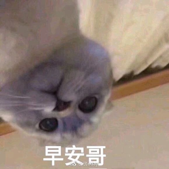 羞涩微信恶搞群聊杂图表情包